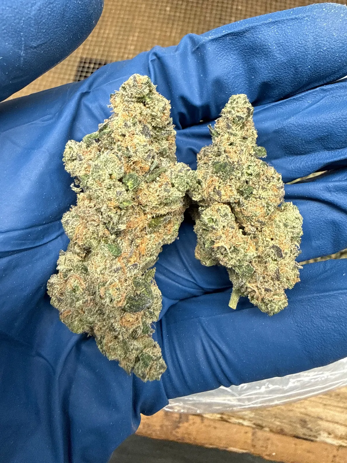 Mule Fuel Flower